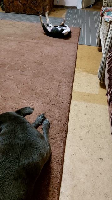 Марсик♥️♥️♥️