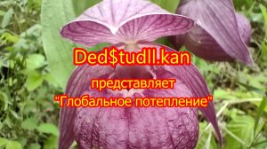 Холодное потепление...