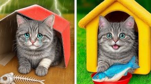 Крошечный Котенок Спасен и Обрел Дом | Секретная Комната для Маленького Котика