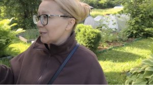 Дождались первого урожая. Целая полянка земляники.