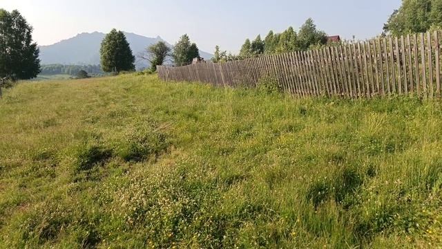Дым над тайгой.
