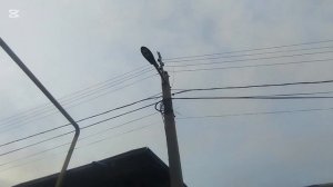 монтаж светильника РКУ Кобра 100w 6500к | очередные будни электрика.