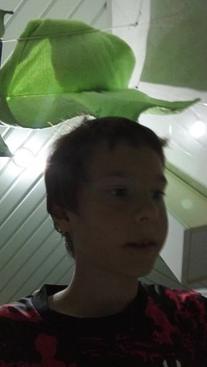 всем спс