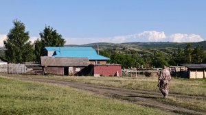 Продолжаем чистить загоны/Ругаюсь на огороде/Месяц без дождей