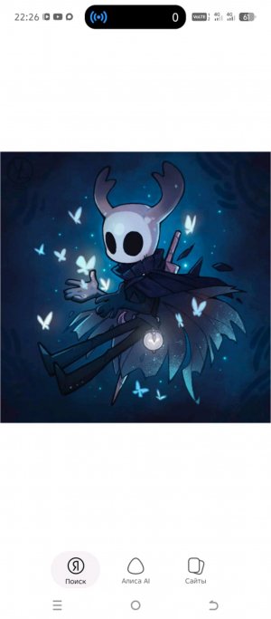 жучки почки  hollow knight и его брат сосуд