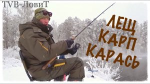 Вот это рыбалка! Ловля Больших Карпов, Карасей, Лещей, Плотвы в январе | Зимняя рыбалка на фидер