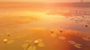 Chilled India ｜ Indian Ambient Chillout Mix for Relaxation & Meditation