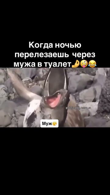 1000004777.mp4 смотреть онлайн