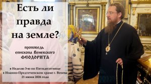 «Есть ли правда на земле?». Епископ Венёвский Феодорит.