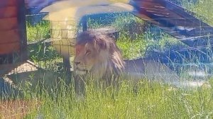 CLTQ7557-21.06.2026-Видео от Ивана