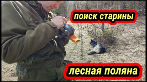 чешуя и монеты