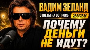 Вадим Зеланд: перестаньте закрывать поток денег | ZELLAND