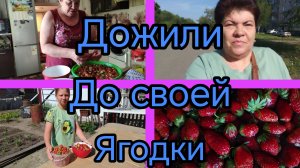 Прогулялась💥😅👍 Вкусная ягодка🤪 Уехала Ксюша.