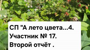 СП «А лето цвета...4». Участник №17. Второй отчёт.