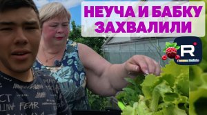 Ольга Уралочка live /Неуча и бабку расхвалили