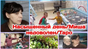 Очень насыщенный день у мамы и бабушки/Миша недоволен моей работой/Болталка