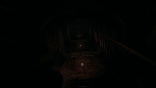 ( Amnesia: A Machine for Pigs ) №5