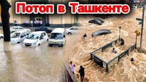 Ташкент затопило после мощного ливня❗ Ветер повалил деревья, выпал крупный град❗  Сегодня ЧП❗
