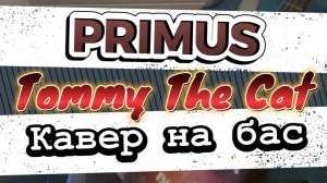 Primus - Tommy the Cat (бас)