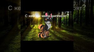 с кем меня ШИППЕРЯТ (идея Бонуса)