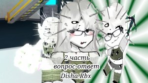 ВОПРОС-ОТВЕТ 2 ЧАСТЬ! (Disha Rbx)
