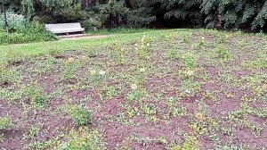 Национальный парк «Кисловодский». 21.06.2026 г.