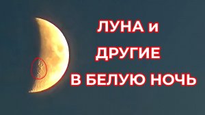 Луна и Другие в Белую Ночь