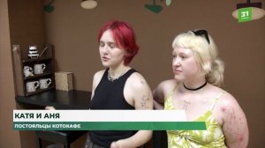 Новый кошкин дом. Популярное котокафе переехало на проспект Победы