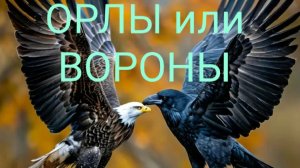 Лепс ОРЛЫ или ВОРОНЫ