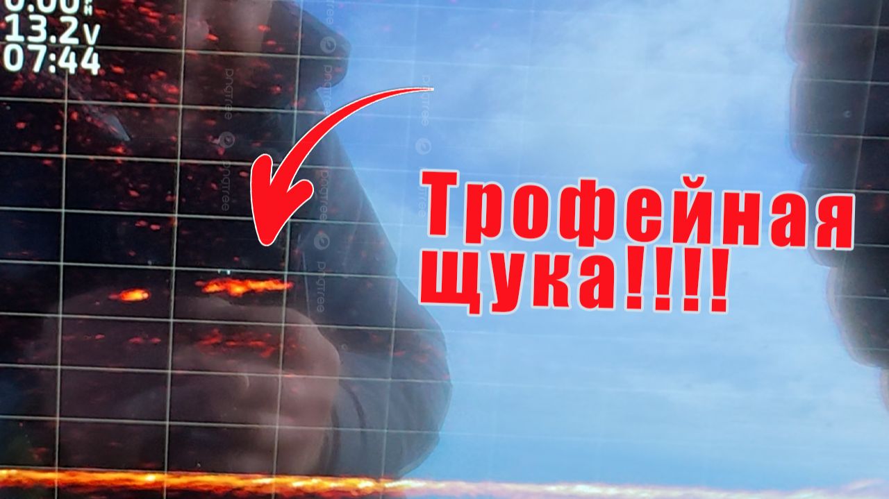 КАК ВЫГЛЯДИТ ТРОФЕЙНАЯ ЩУКА В МОНИТОРЕ Panoptix LiveScope!!! ПОИСК ТРОФЕЙНОГО СУДАКА! смотреть онлайн