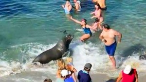 FailArmy 💥 Damn Nature You Crazy | Fails in the Wild!