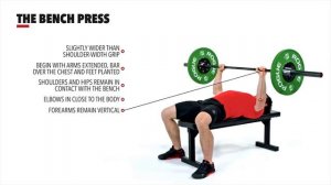 The Bench Press Жим штанги лежа