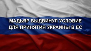 Мадьяр выдвинул условие для принятия Украины в ЕС