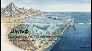 География 10 класс 8 Ресурсы Мирового океана