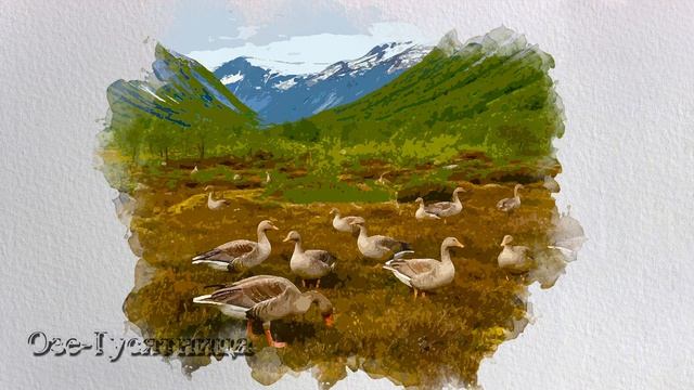 Озе-Гусятница