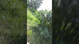 1068.mp4