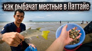 🐬Рабылка в Паттайе. Дары моря!