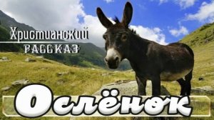 📗 «Ослёнок» ~ РАССКАЗ Христианский ~ 👧🟢
