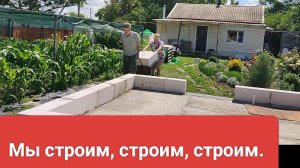 Как жуки. Блины кабачковые. Жизнь на пенсии.