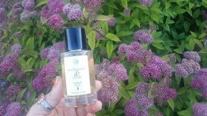 🌸🌞❤️Выбираю ароматы на июнь-июль 2026 🌿