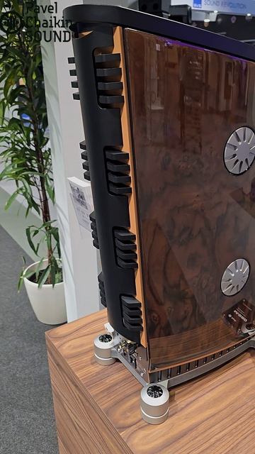 AAViK M880 HIGH END Vienna