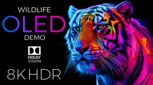 Демо-версия OLED-дисплея «Дикая природа» HDR 8K Ultra HD Dolby Vision™ 60 кадров в секунду