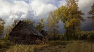 Бабушкин кот. Интересная МИСТИЧЕСКАЯ история1.
