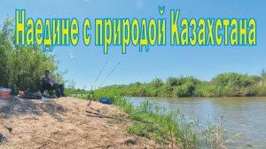 Наедине с природой Казахстана/ рыбалка на реке Нура/ Язь, Лещ, Судак