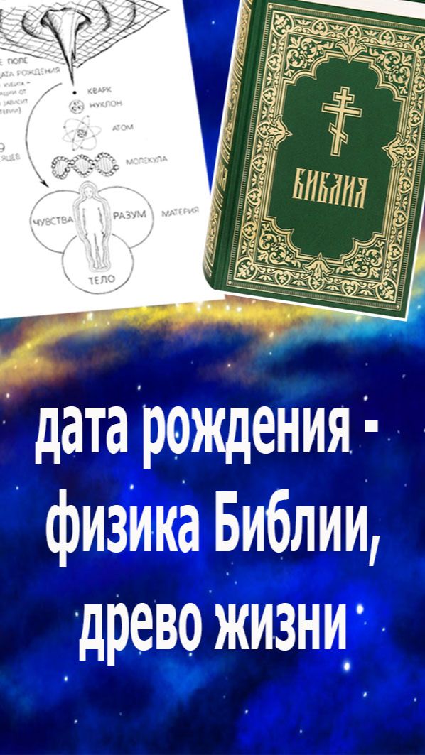 Дата рождения - физика  Библии: древо жизни 12 раз, каждый месяц, плоды приносящее. #бог#жизнь#