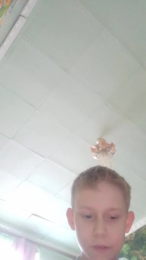сходка в чг