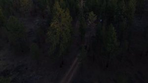 Mountain Road Drive 🏔 ｜ 1 Hour Synthwave Mix ｜ Dusk Drive