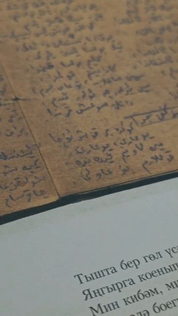 Память, которая живёт в книгах