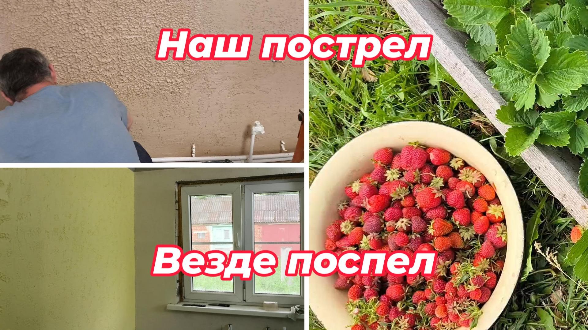 Наш пострел, везде поспел!#домвдеревне#всесвоимируками