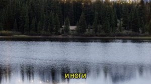 Истории из жизни | Аудио рассказы | В маминой тумбочке нашли конверт. Внутри —  | Жизненные истории